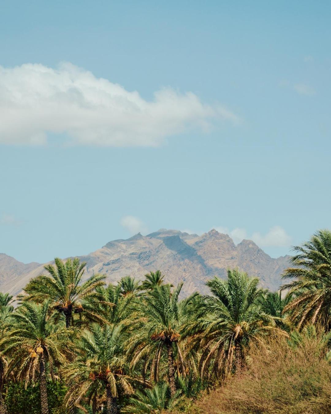 Mandarin Oriental, Muscat Mascate Exterior foto